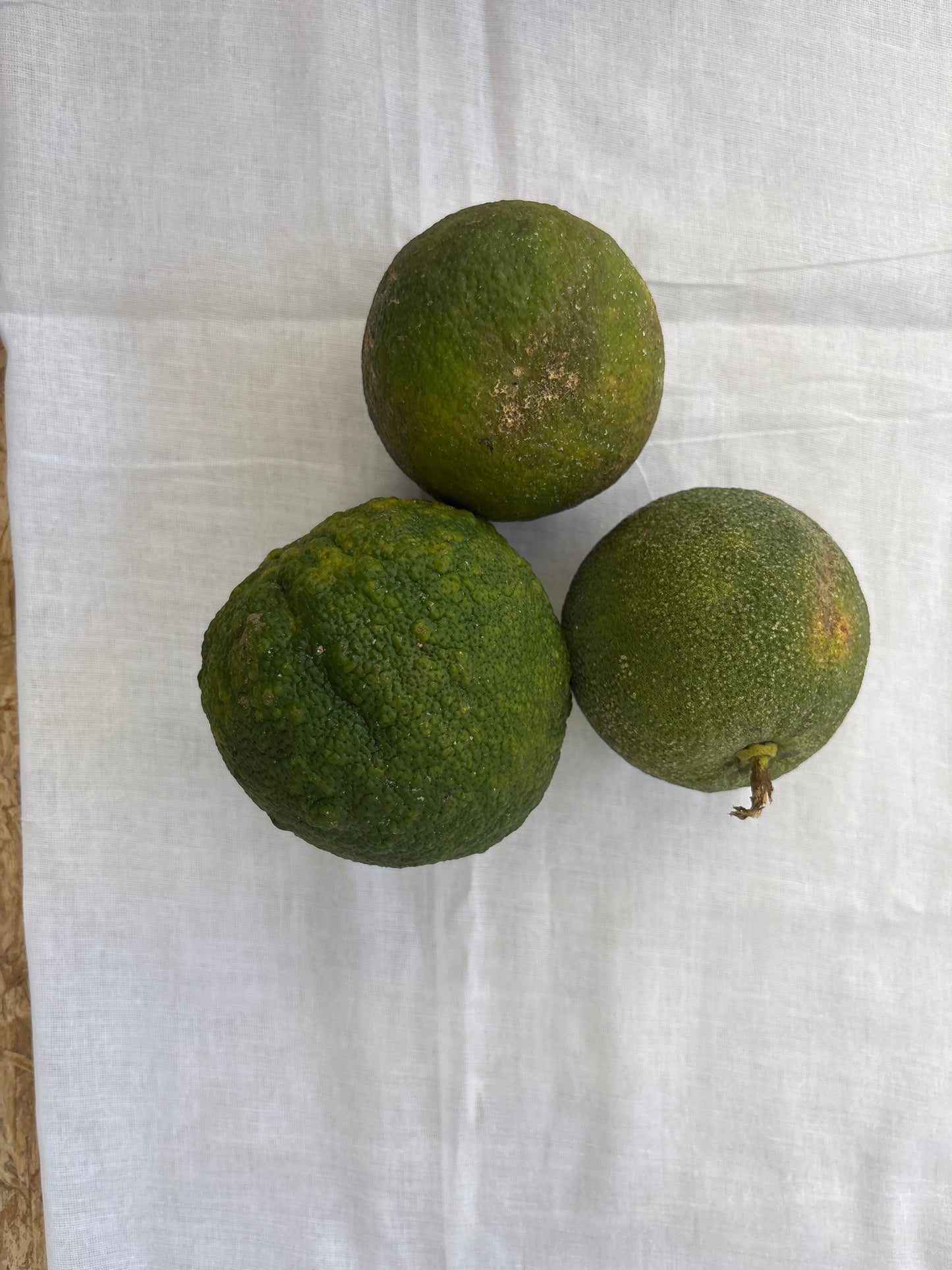 Swalanga