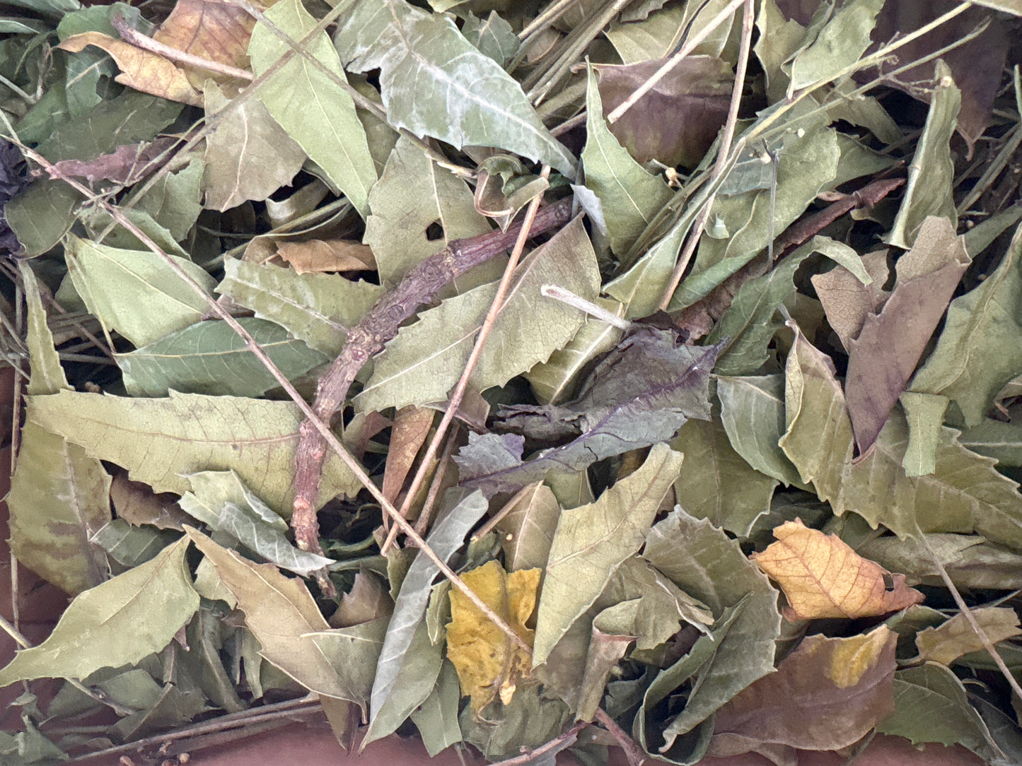 Niem wiri ( Neem )