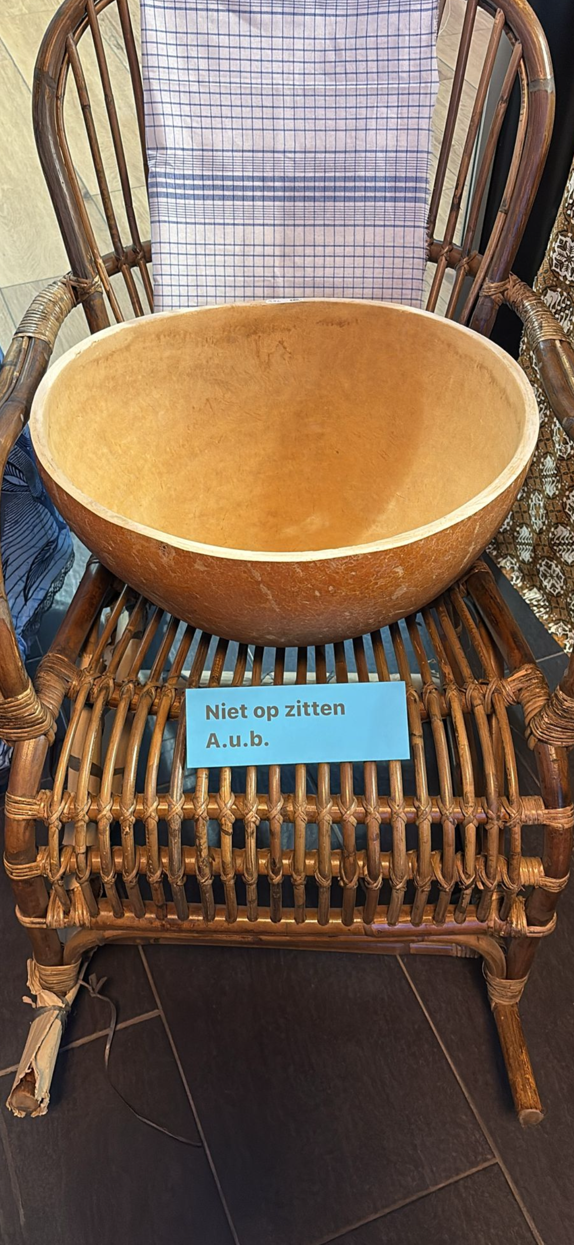Kalebas xxl (+/-50cm)