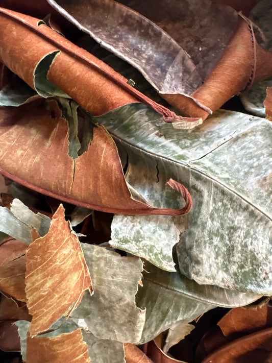 Faya watra ( Faja watra )