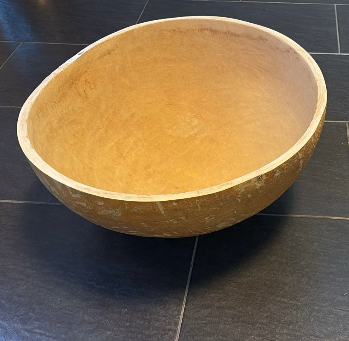 Kalebas xxl (+/-50cm)