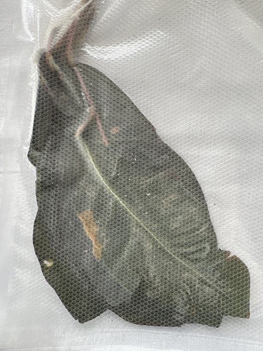 Kreton blad