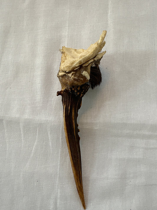 Diatoe (Dia tu)